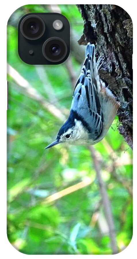 Bird iPhone Case featuring the photograph Blue bird 2 by Lilia S