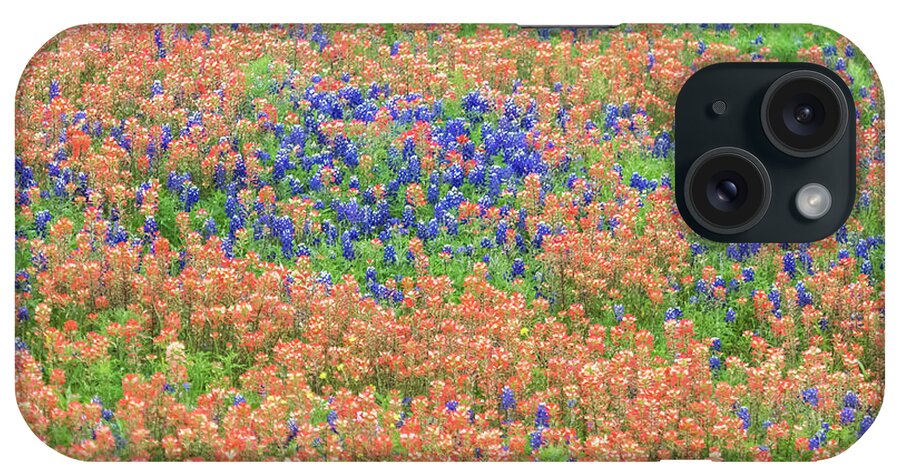 Texas iPhone Case featuring the photograph Blue bonnets and Indian paintbrush-Texas wildflowers by Usha Peddamatham