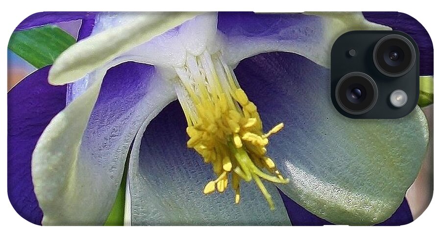 Flora iPhone Case featuring the photograph Blue Columbine Up Close 1 by Bruce Bley