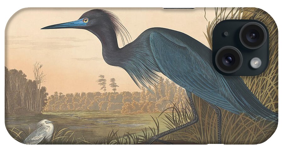 Audubon iPhone Case featuring the painting Blue Crane or Heron by John James Audubon
