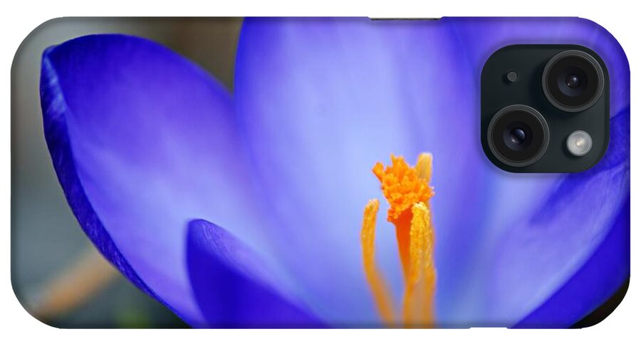 Photography iPhone Case featuring the photograph Blue Crocus by Larry Ricker