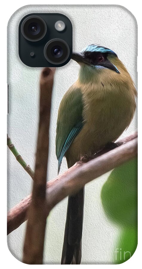 Blue iPhone Case featuring the digital art Blue-crowned Motmot Oil by Ed Taylor