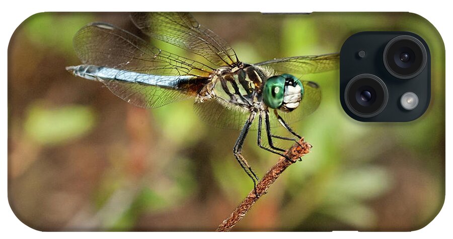 Insect iPhone Case featuring the photograph Blue Dragon by Lara Ellis