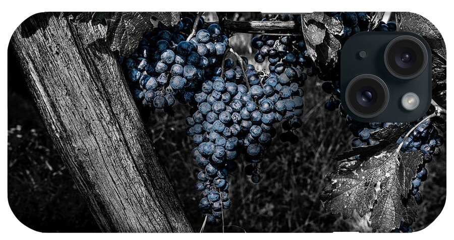 Composite iPhone Case featuring the photograph Blue Grapes 2 by Wolfgang Stocker