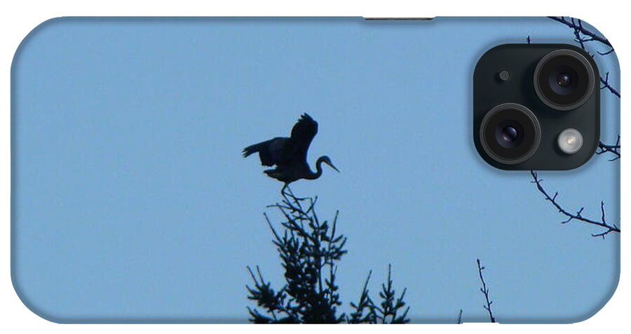 Blue Heron iPhone Case featuring the photograph Blue Heron Dance by Lisa Rose Musselwhite