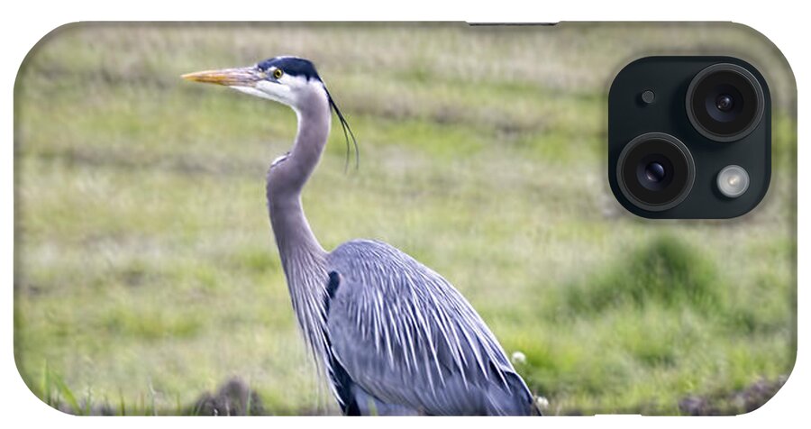 Bird iPhone Case featuring the photograph Blue Heron in Northern WA by Cathy Anderson