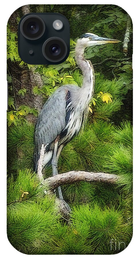 Heron iPhone Case featuring the photograph Blue Heron by Lydia Holly