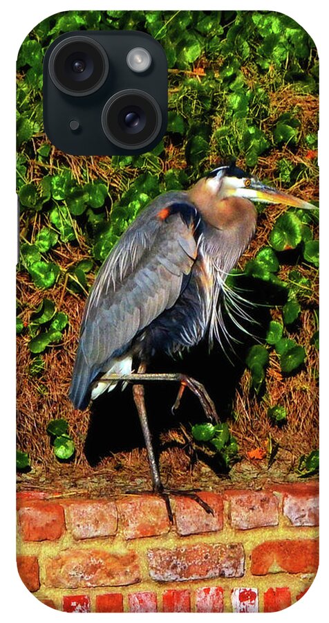Blue Heron iPhone Case featuring the photograph Blue Heron - Sentry 001 by George Bostian