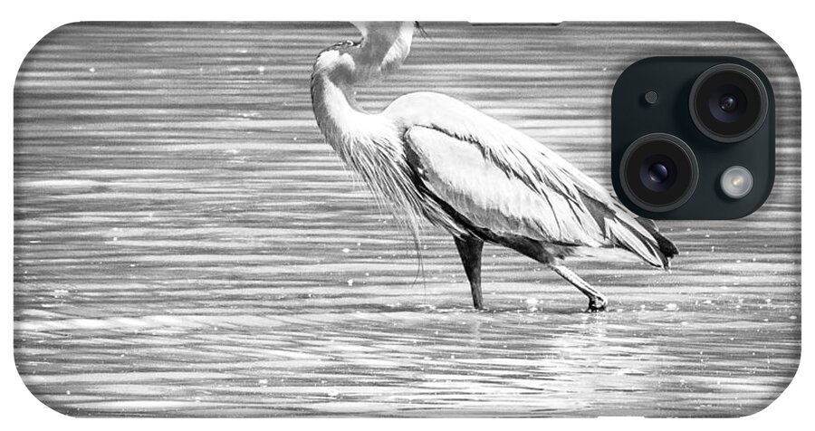 2015 iPhone Case featuring the photograph Blue Heron Strut by Wade Brooks
