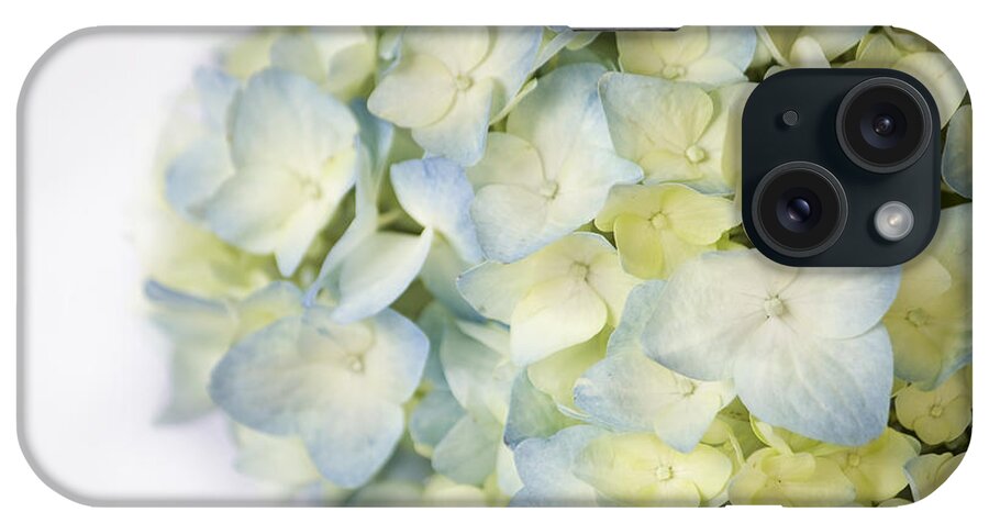 High Key iPhone Case featuring the photograph Blue Hydrangea by Cheryl Day