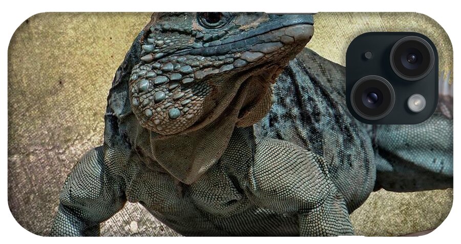 Animal iPhone Case featuring the photograph Blue Iguana by Teresa Wilson