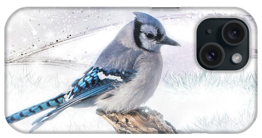 Blue iPhone Case featuring the photograph Blue Jay Snow by Patti Deters