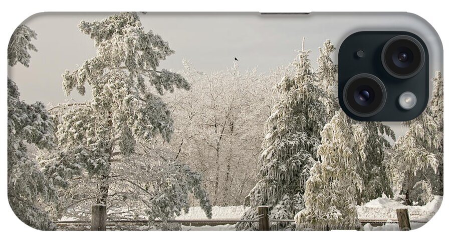 Winter iPhone Case featuring the photograph Blue Knob Winter by Lois Bryan