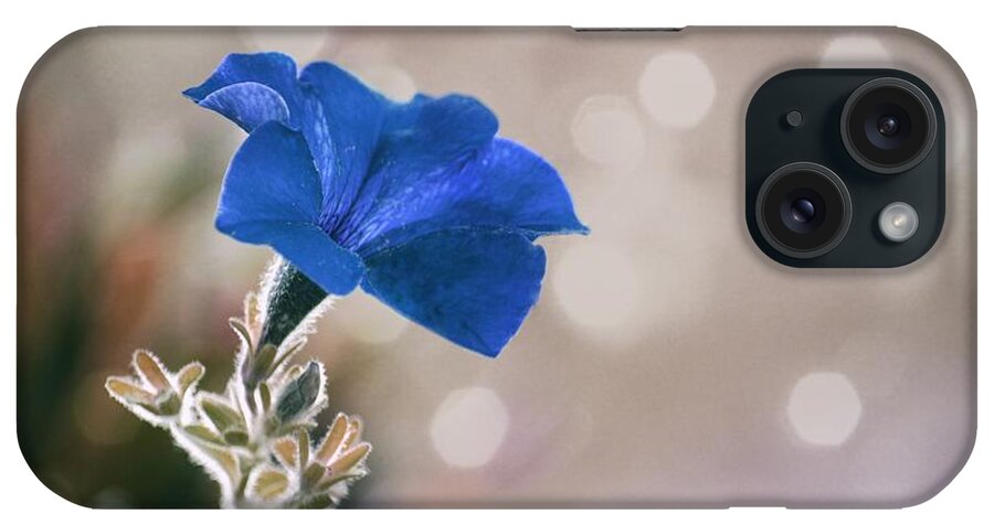 Art iPhone Case featuring the photograph Blue Morning Glory by Joan Han