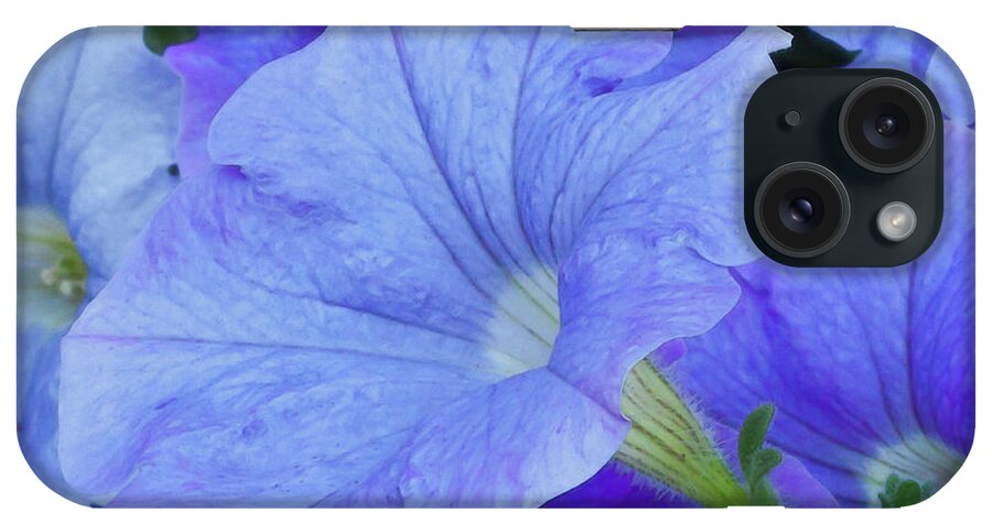 Blue iPhone Case featuring the photograph Blue Petunia Blossom by Sandra Foster