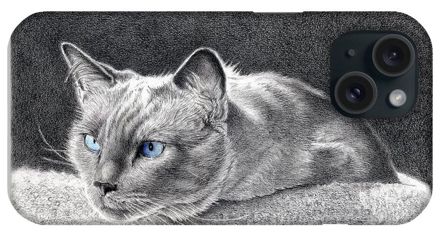 Cat iPhone Case featuring the drawing Blue Point Beauty by Louise Howarth