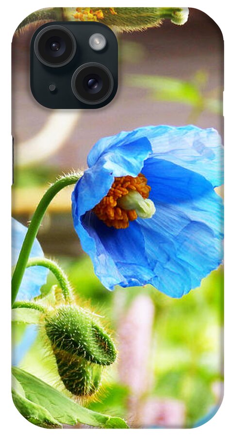 Himalayan Blue Poppy iPhone Case featuring the photograph Blue Poppy by Zinvolle Art