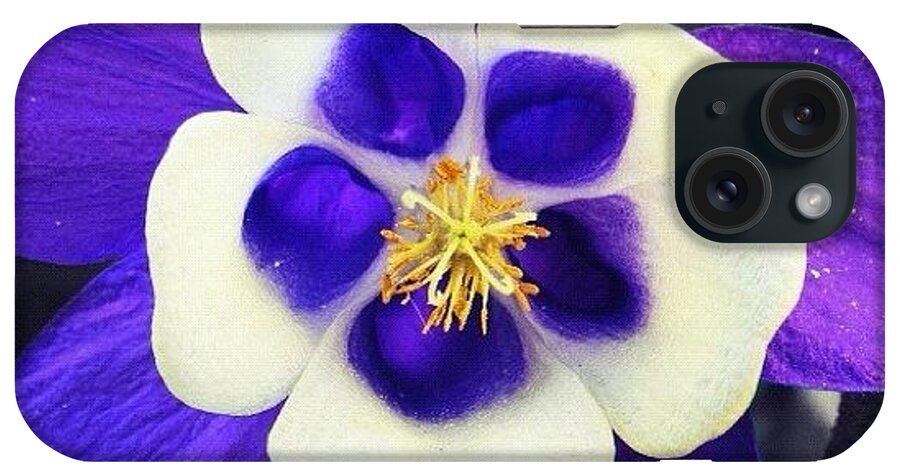 Beautiful iPhone Case featuring the photograph Blue Symmetry by Christine Cherry