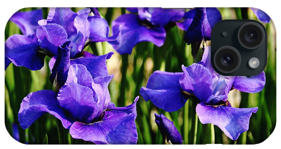 Siberian Iris iPhone Case featuring the photograph Blue Velvet by Debbie Oppermann