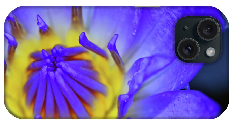 Water Lily iPhone Case featuring the photograph Blue Water Lily 008 by George Bostian