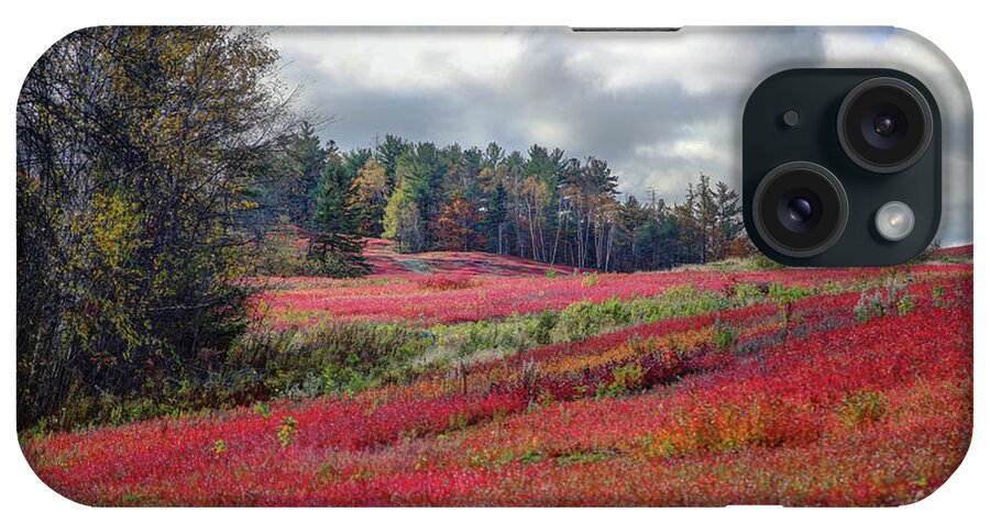 Blueberry iPhone Case featuring the photograph Blueberry Field by John Meader