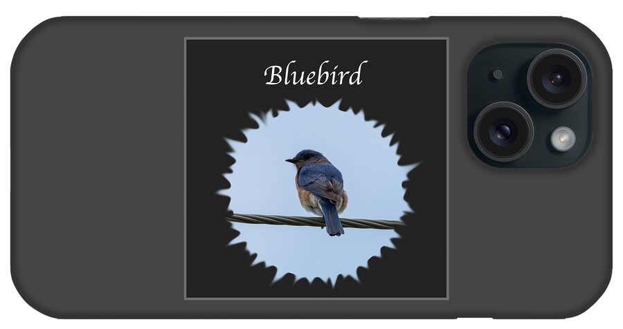 Eastern Bluebird iPhone Case featuring the photograph Bluebird by Holden The Moment
