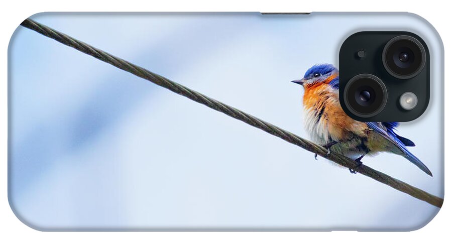 Bluebird iPhone Case featuring the photograph Bluebird of Happiness by Linda Unger