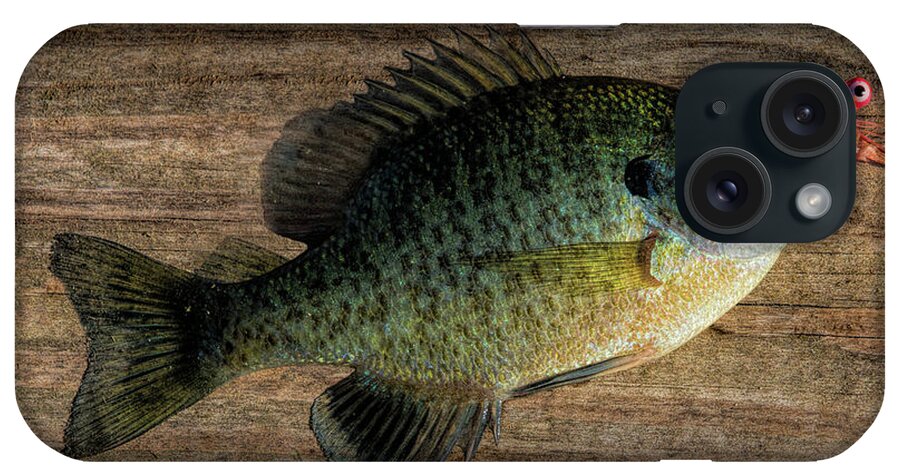 Fish iPhone Case featuring the photograph Bluegill Panfish caught with a jig by Randall Nyhof
