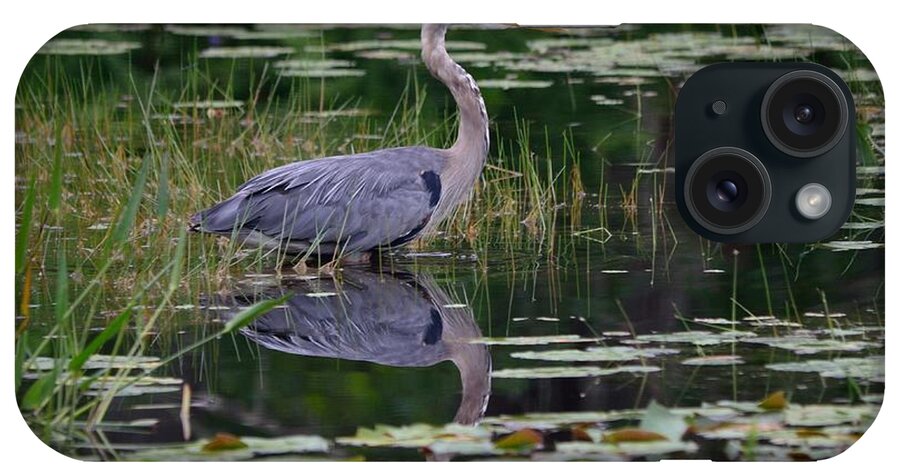 Great Blue Heron iPhone Case featuring the photograph Blue's Image- Great Blue Heron by David Porteus