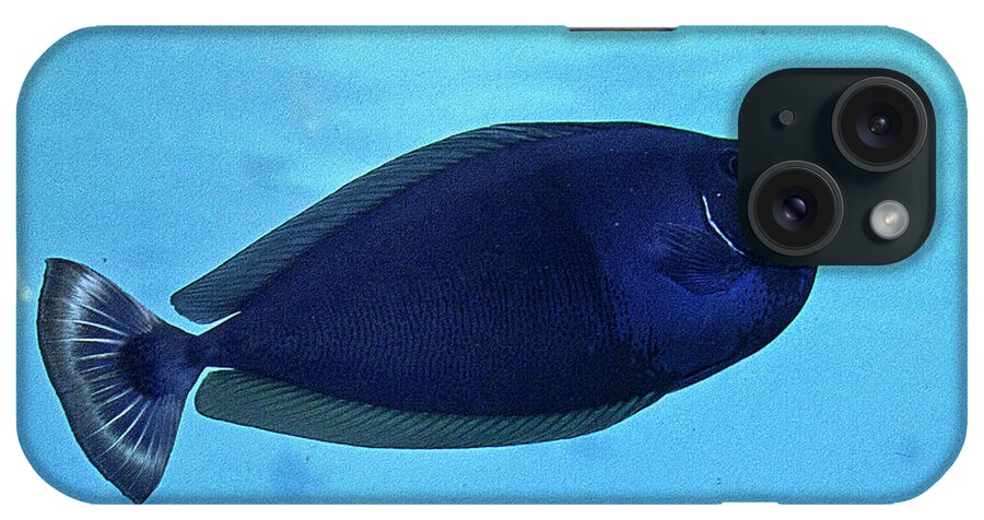 Fish iPhone Case featuring the photograph Bluespine Unicorn Fish by Miroslava Jurcik