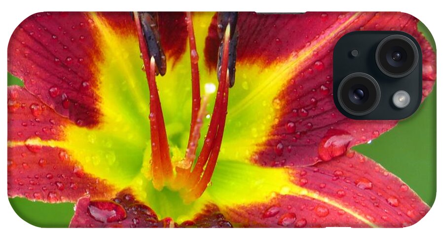 Lilies iPhone Case featuring the photograph Bold and Beautiful by Lori Frisch