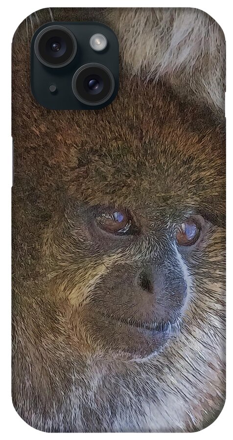 Monkey iPhone Case featuring the digital art Bolivian Grey Titi Monkey by Larry Linton