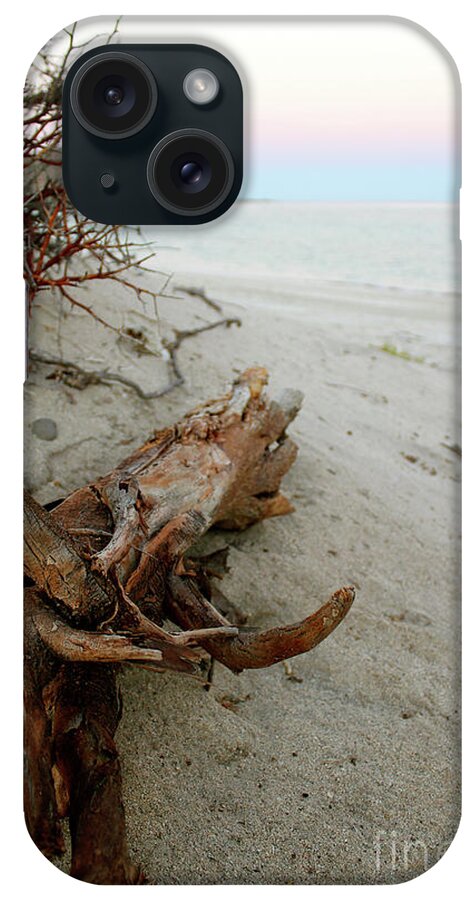 Driftwood iPhone Case featuring the photograph Bonanza Beach Driftwood by Becqi Sherman