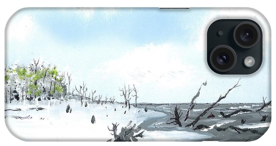 Trees iPhone Case featuring the painting Bone Yard At Capers Island by Patrick Grills