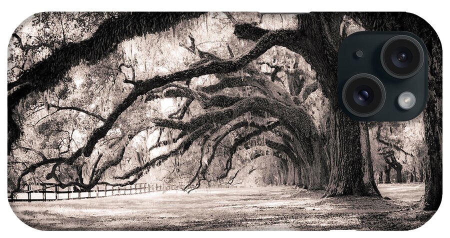 Boone Hall iPhone Case featuring the photograph Boone Hall Plantation Live Oaks by Dustin K Ryan