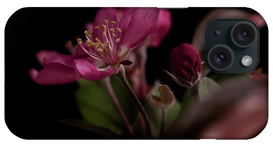 Flower iPhone Case featuring the photograph Born Again by Mike Eingle