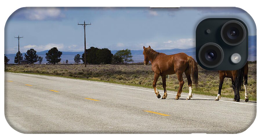 Horse iPhone Case featuring the photograph Born to be Wild by Terry Fiala