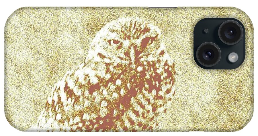 Owls iPhone Case featuring the photograph Borrowing Owl by Timothy Lowry