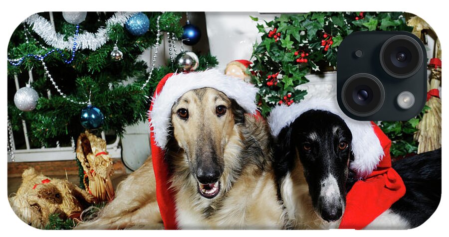 Dogs iPhone Case featuring the photograph Borzoi puppies wishing a merry christmas by Christian Lagereek