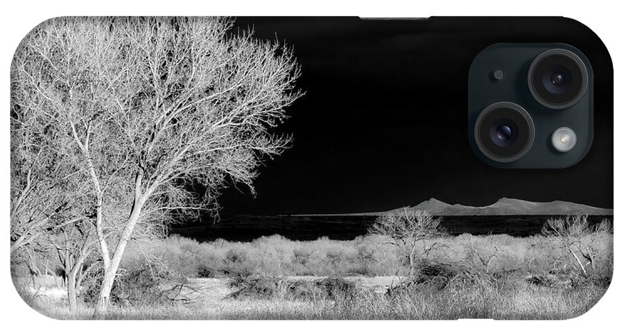 Infrared iPhone Case featuring the photograph Bosque del Apache - Infrared by Britt Runyon
