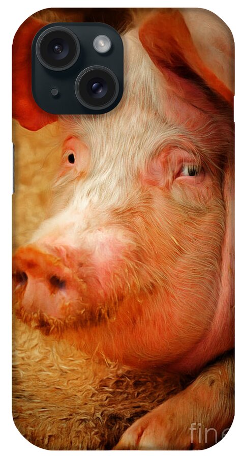Wingsdomain iPhone Case featuring the photograph Boss Hog Painterly 20170922 by Wingsdomain Art and Photography
