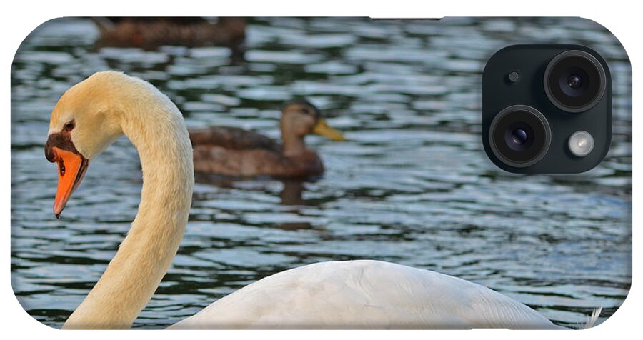 Boston iPhone Case featuring the photograph Boston Public Garden Swan amongst the ducks by Toby McGuire