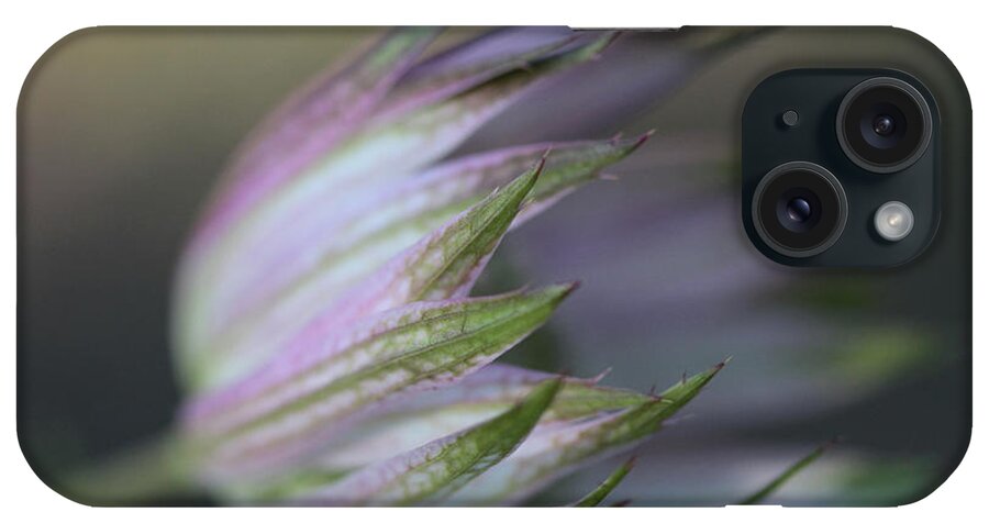 Connie Handscomb iPhone Case featuring the photograph Botanica ... Flight by Connie Handscomb