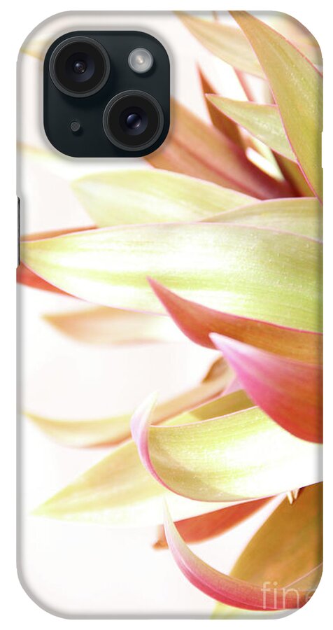 Plant iPhone Case featuring the photograph Botanical Dance by Becqi Sherman