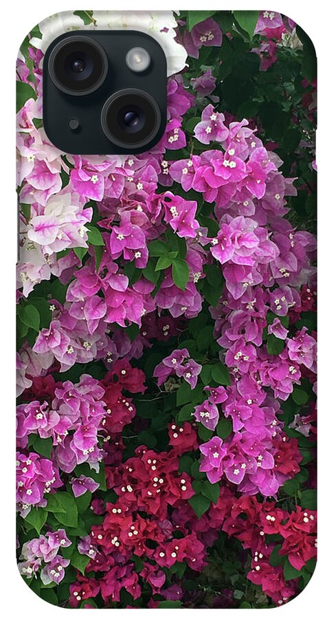 Bougainevillee iPhone Case featuring the photograph Bougainville Flowers in Hawaii by Karen Nicholson