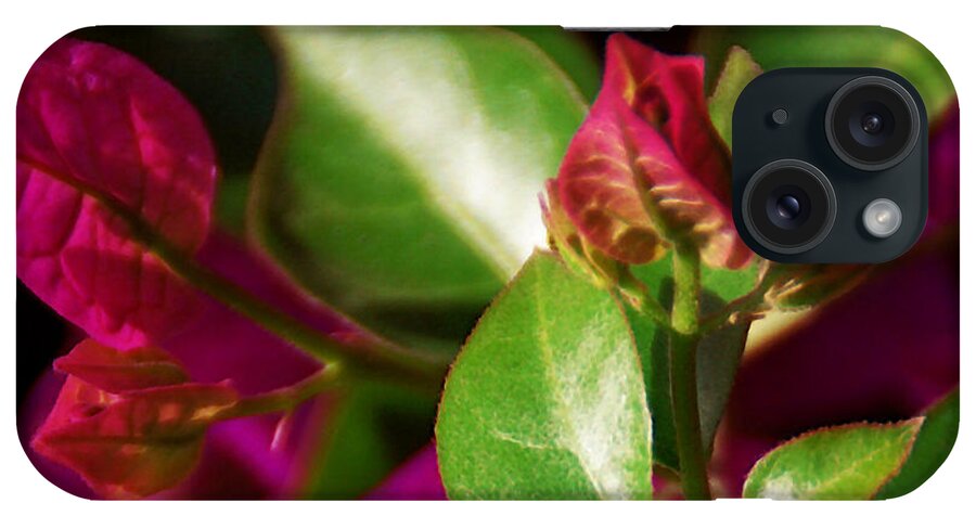Bougainvillea iPhone Case featuring the photograph Bougainvillea by Linda Shafer