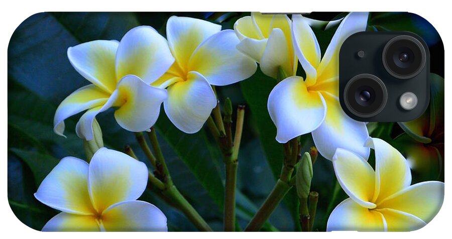 Art iPhone Case featuring the photograph Plumeria Branch by Jeannie Rhode