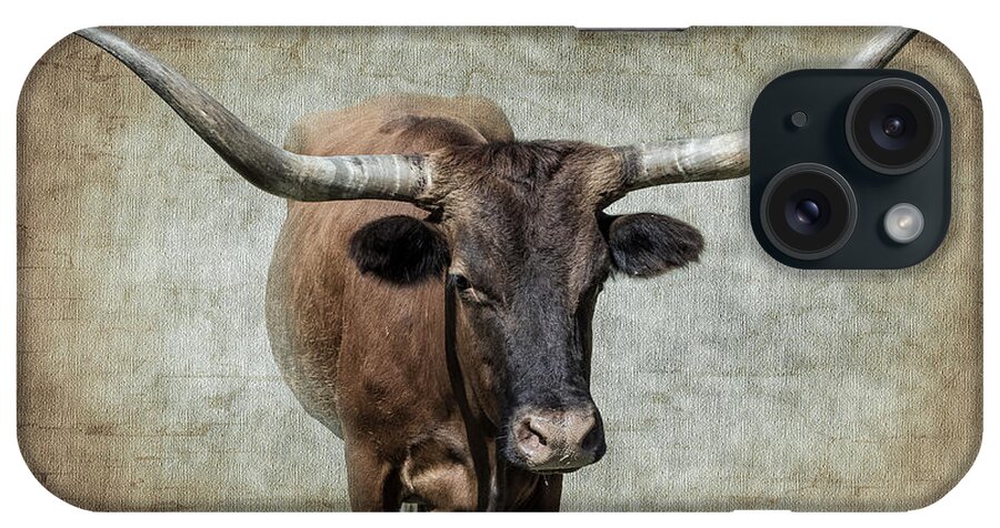 Afternoon iPhone Case featuring the photograph Bovine by Doug Long