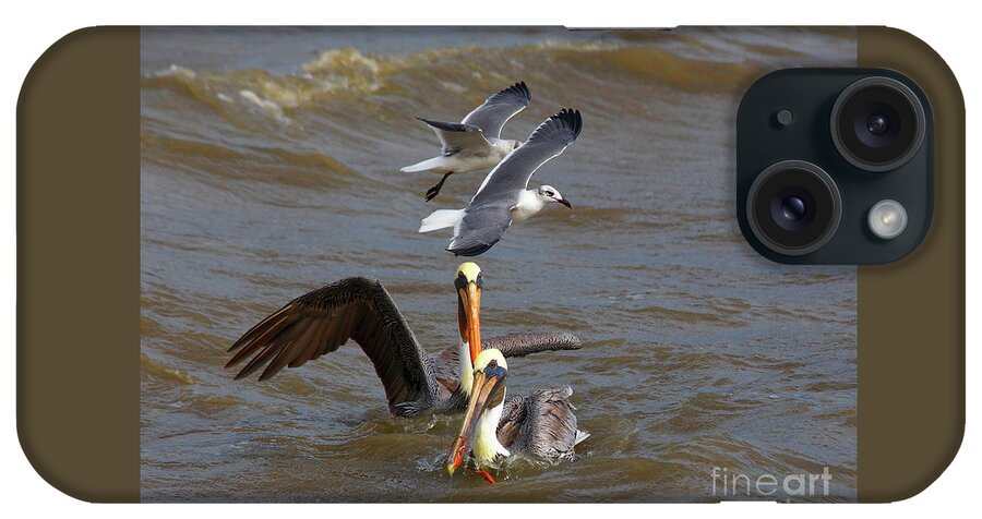 Pelicans iPhone Case featuring the photograph Bracing For The Storm, South Padre Island, Texas by TN Fairey