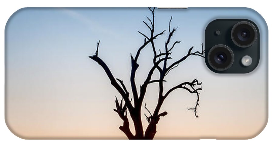 Mitagong State Forest iPhone Case featuring the photograph Branches by Az Jackson